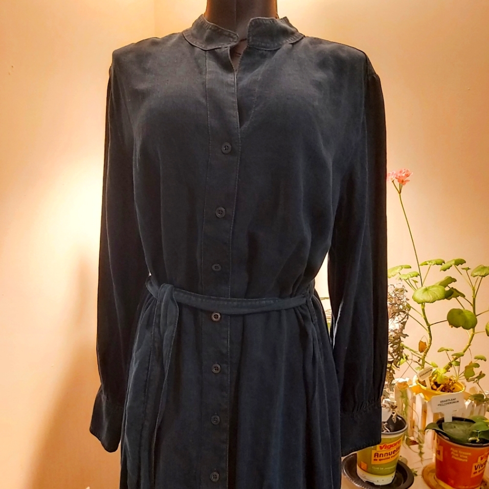 Long sleeved Chambray Denim Dress